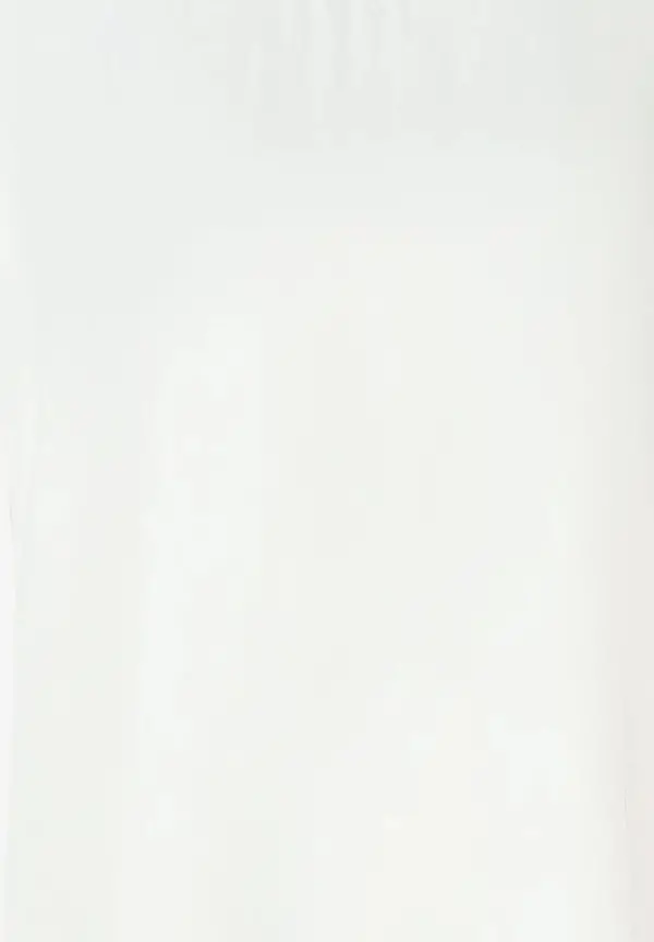 More & More Shirt mit Satinfront, ecru Top Angebot
