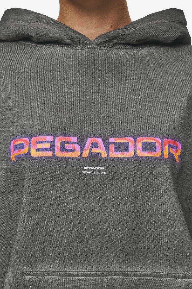Pegador Lui Sprayed Oversized Hoodie Oil Dyed Deep Grey Meist gekauft