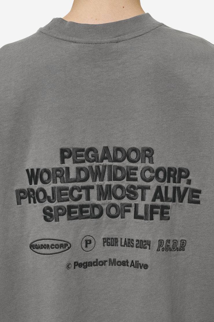 Pegador Sora Heavy Oversized Tee Washed Deep Grey Speichern exportieren