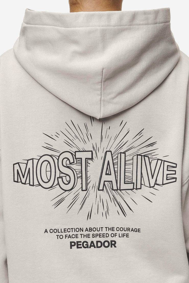 Pegador Nisa Oversized Hoodie Washed Moon Grey Online