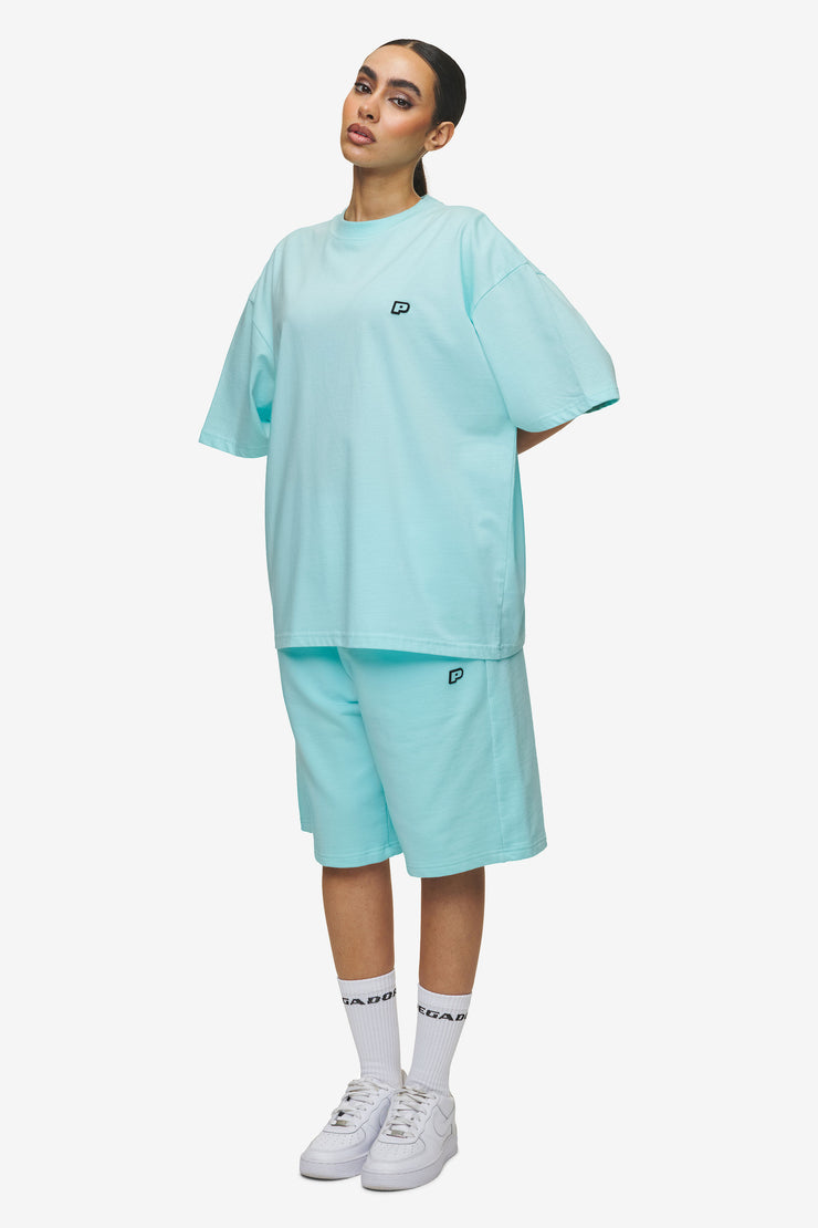Pegador Leono Boxy Tee Washed Sky Blue Sky Blue Gum Versandkostenfrei
