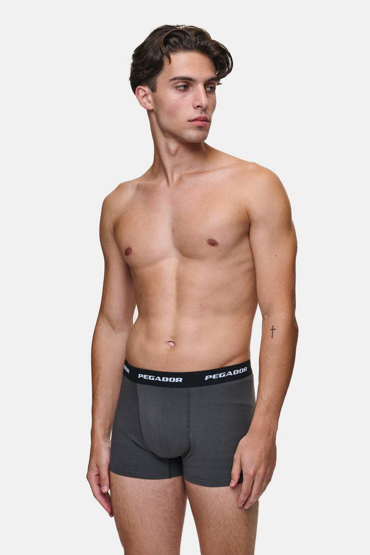 Pegador Tantun Boxershorts 3 Pack Grey Melange Black Anthracite Begrenztes Angebot