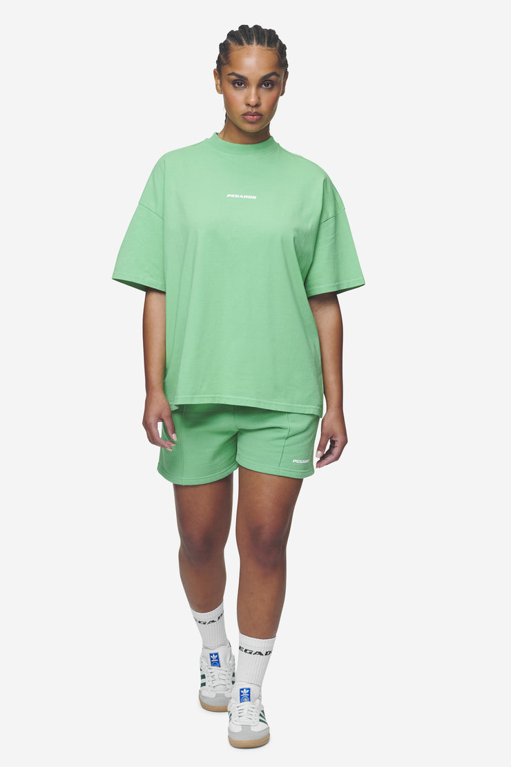 Pegador Bracy Heavy Oversized Tee Washed Peppermint Green White Gum Rabatte dieses Monats