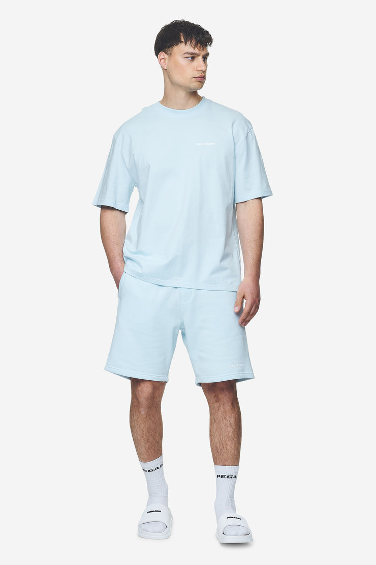 Pegador Logo Oversized Tee Washed Baby Blue White Gum Flash Sale