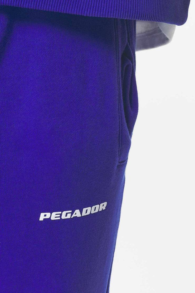 Pegador Logo Heavy Sweat Jogger Washed Endless Blue Gum Bis zu 60% Rabatt