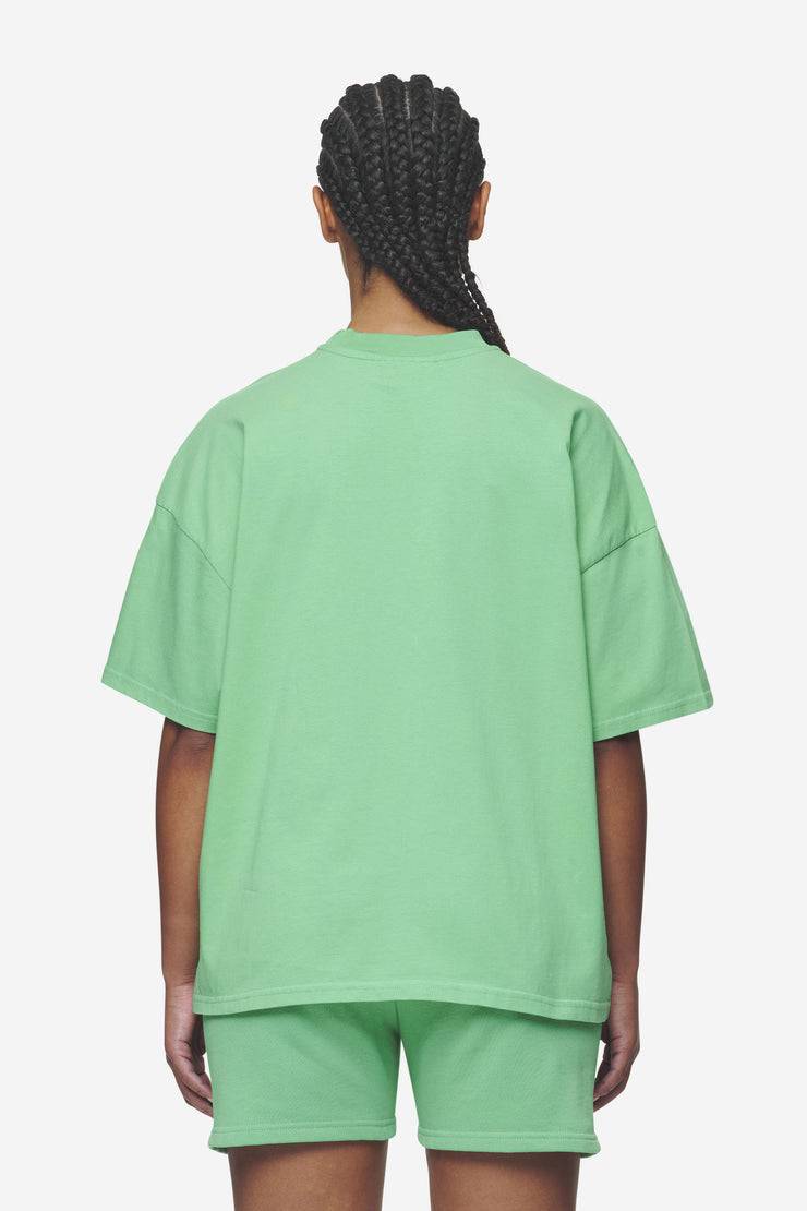 Pegador Bracy Heavy Oversized Tee Washed Peppermint Green White Gum Jubiläumsangebot