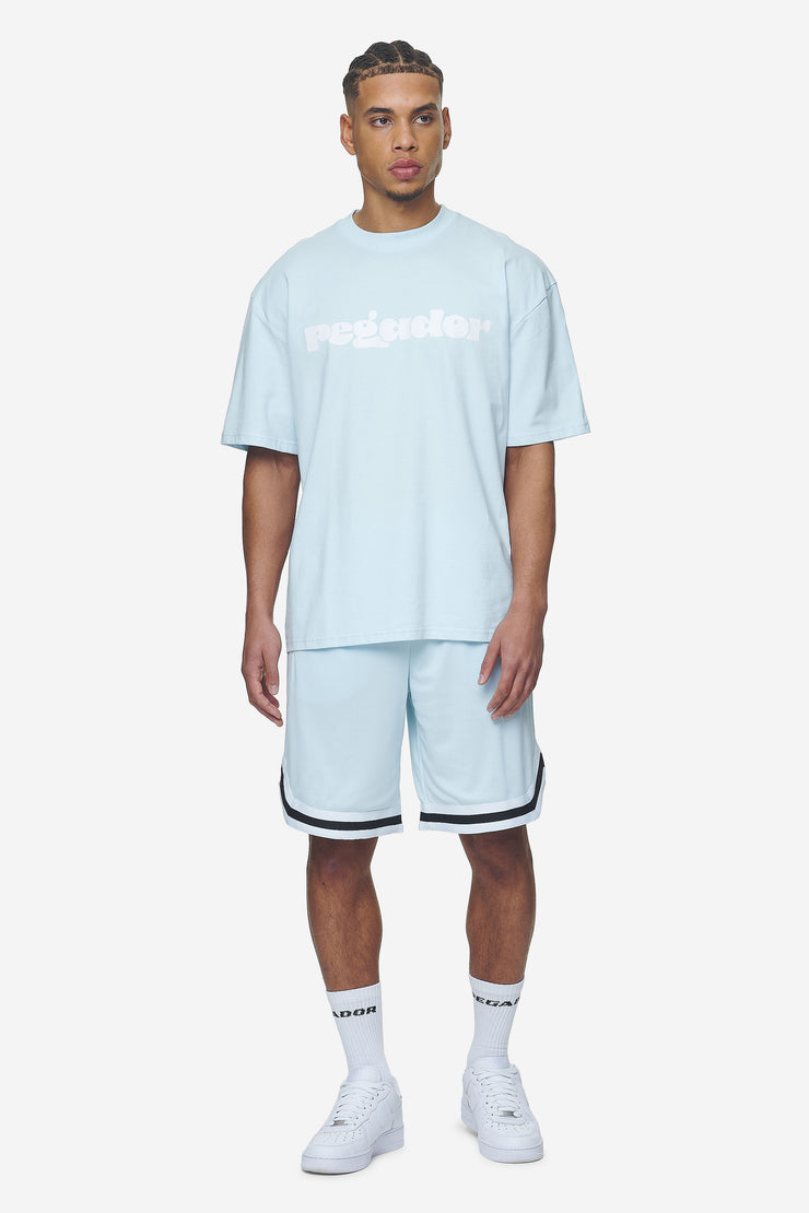 Pegador Lansing Basketball Shorts Baby Blue Letzte 2 Tage