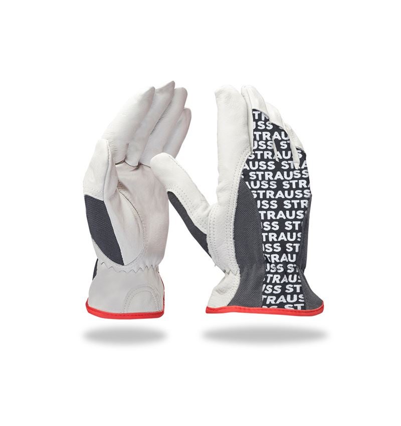 Strauss Nappaleder-Fahrer-Handschuhe Driver Profi Sonderangebot der Fabrik