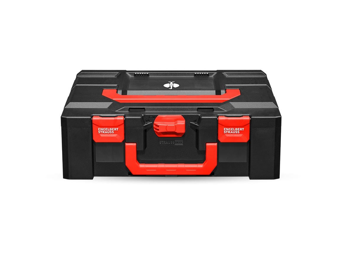 Strauss STRAUSSbox 165 large 50% Rabatt mit kostenlosem Versand