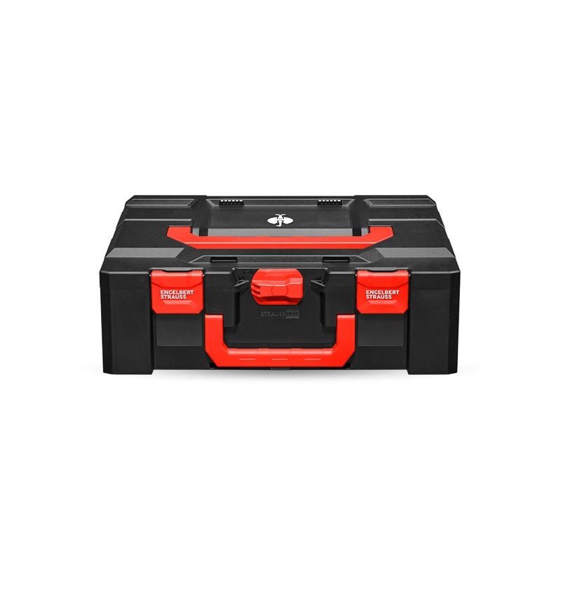 Strauss STRAUSSbox 165 large 50% Rabatt mit kostenlosem Versand